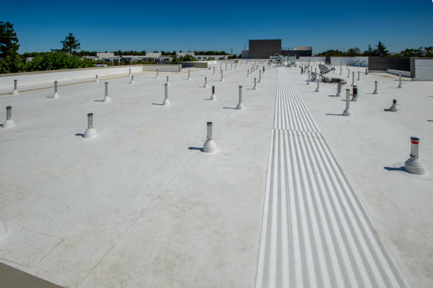 Trusted Aventura, FL Roofing Services Experts